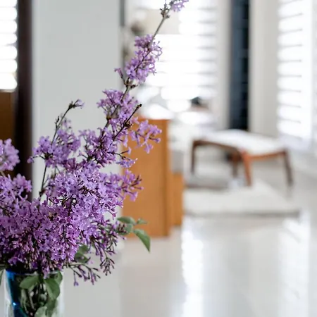 Apartment Panorama Luxury With Garden.