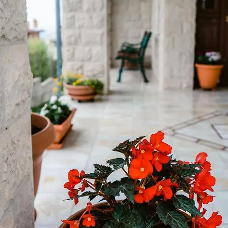 Appartamento Panorama Luxury With Garden.
