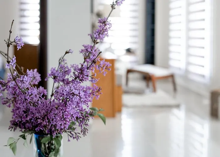 公寓 Panorama Luxury With Garden.